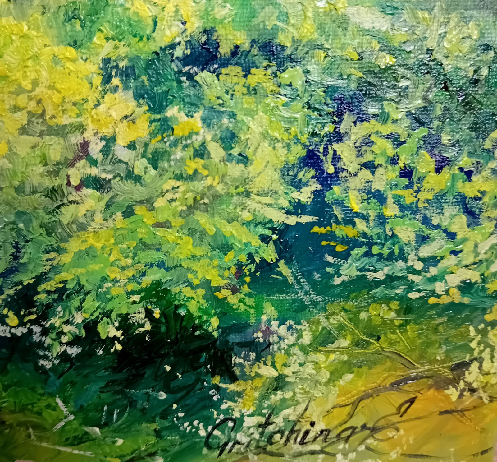 Farben des Südens – Ein toskanisches Idyll