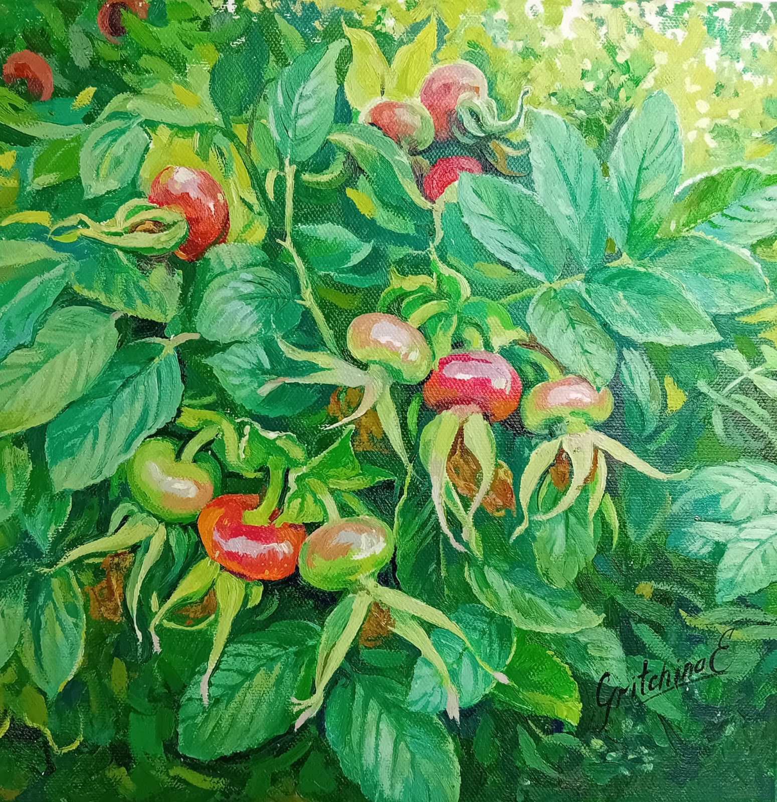 Herbstfrüchte – Farben der Natur