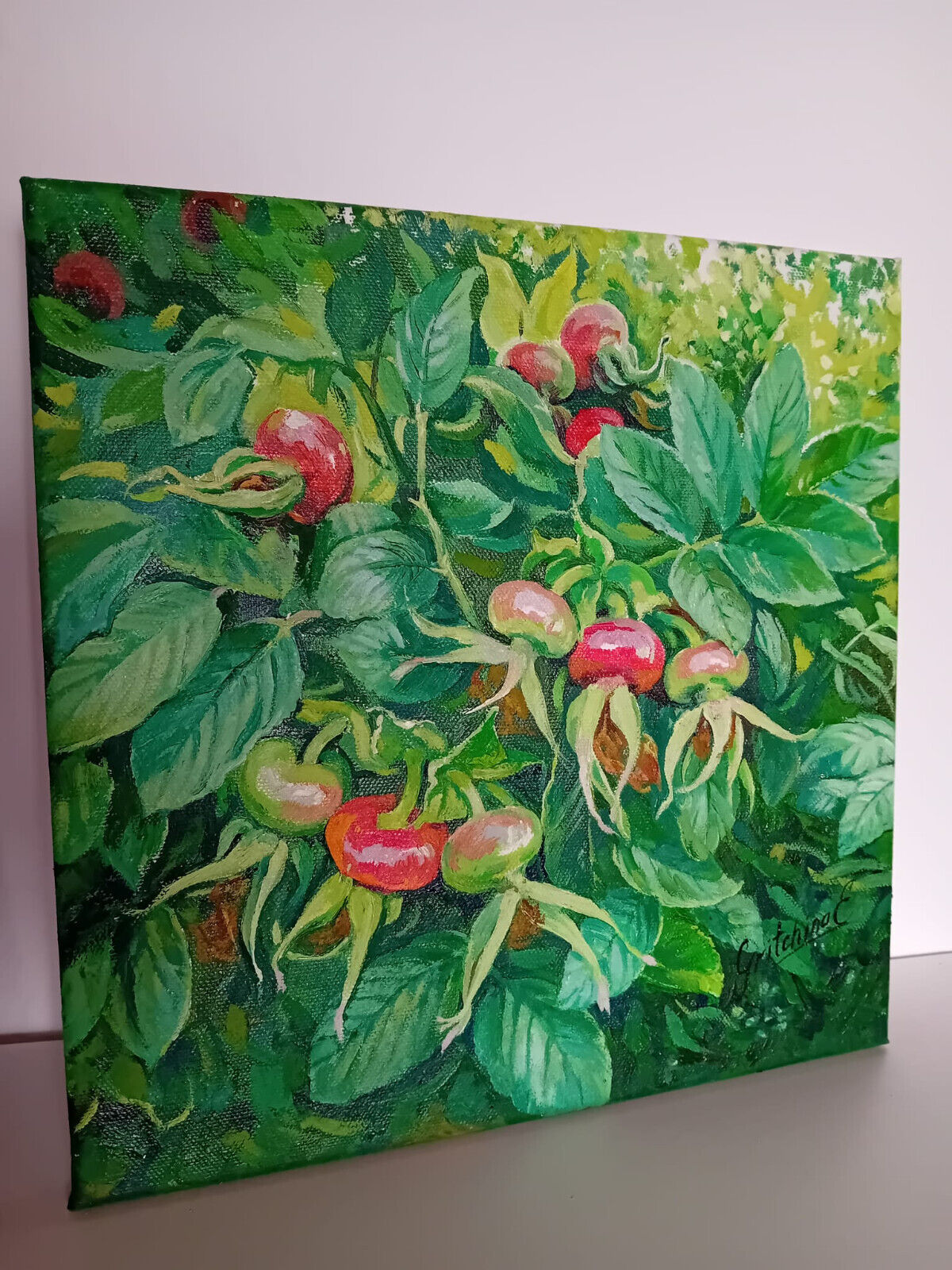 Herbstfrüchte – Farben der Natur