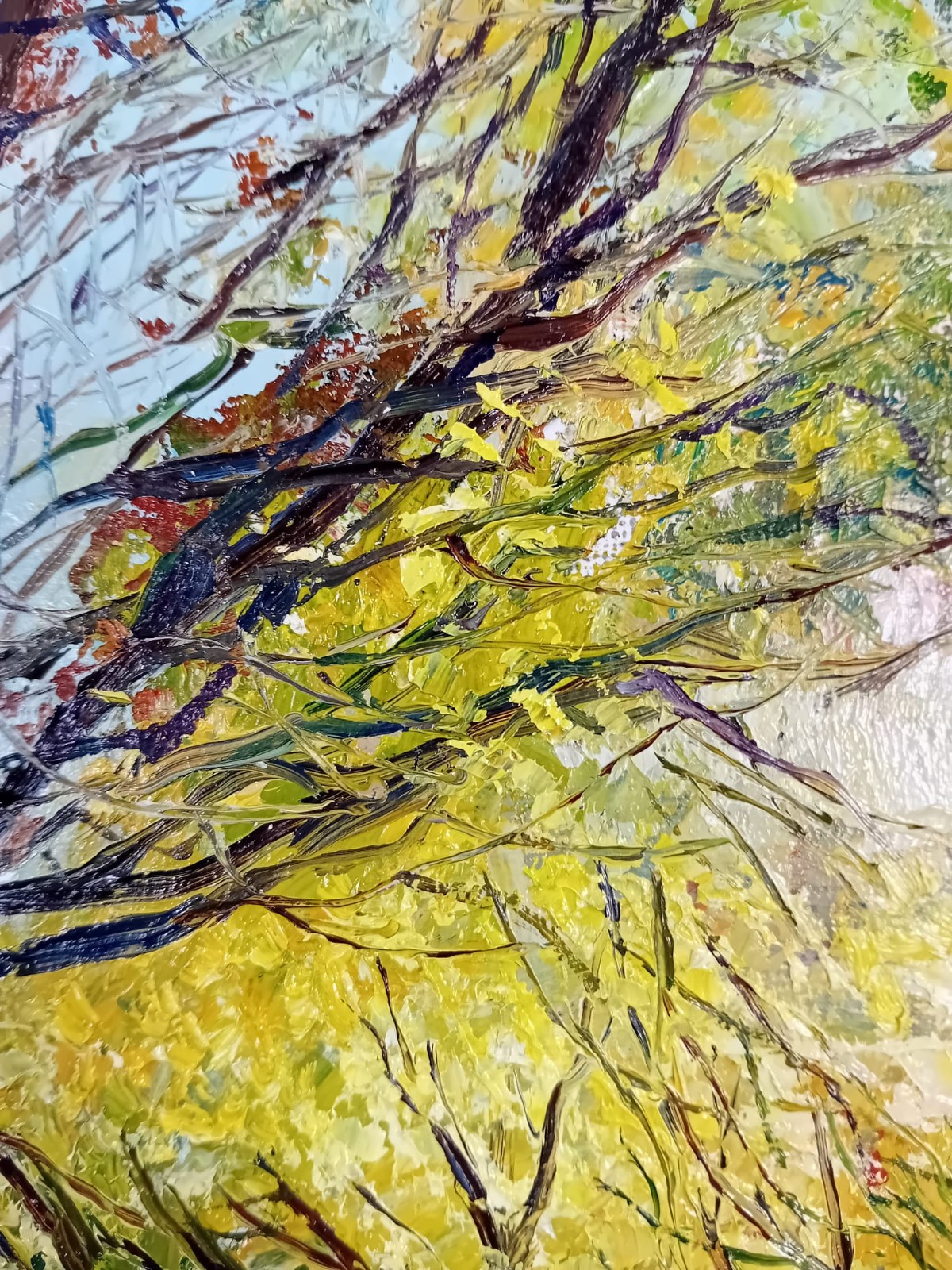 Im goldenen Licht der Bäume