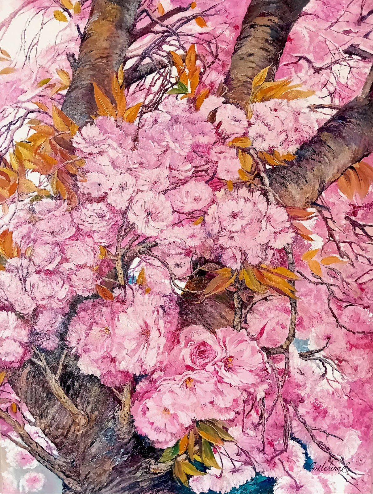 Kirschblütentanz – Frühling in Fülle