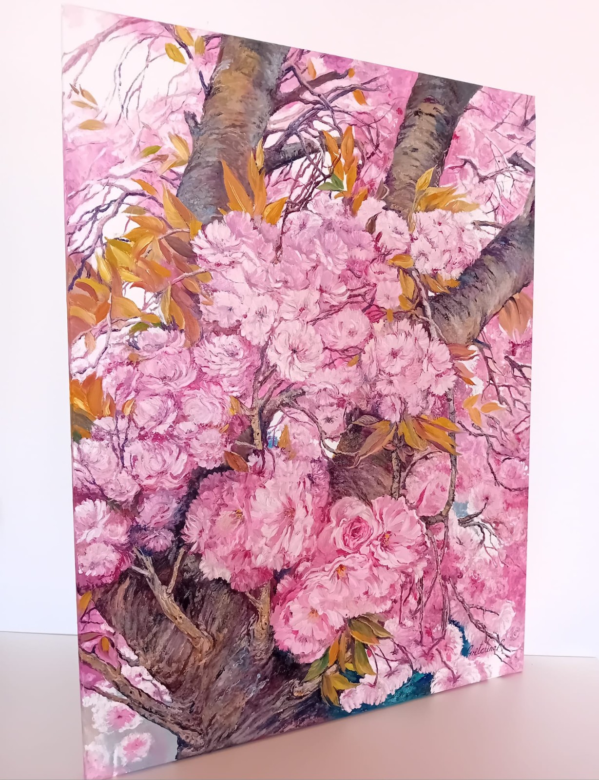 Kirschblütentanz – Frühling in Fülle