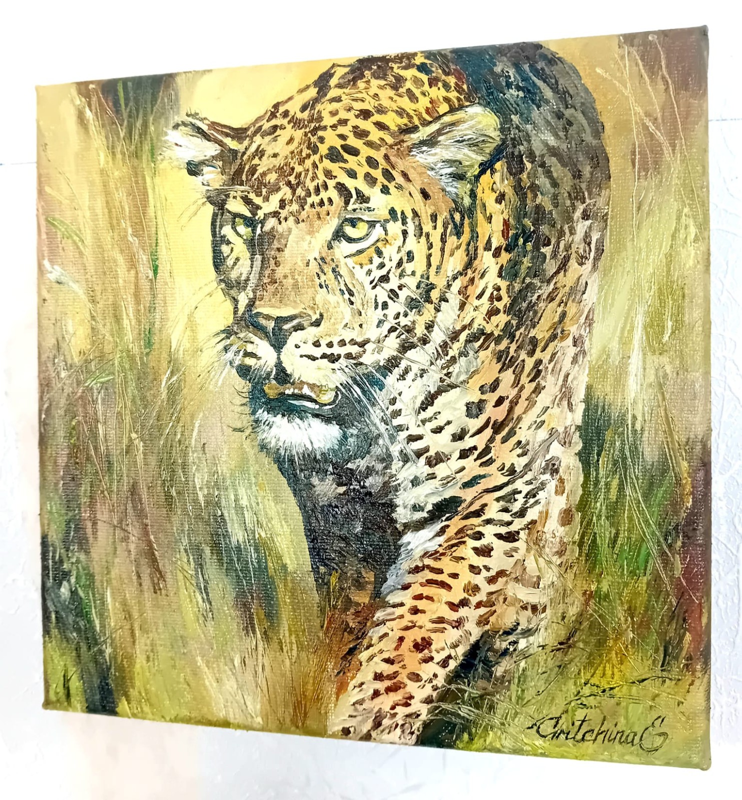 Leopard im goldenen Gras