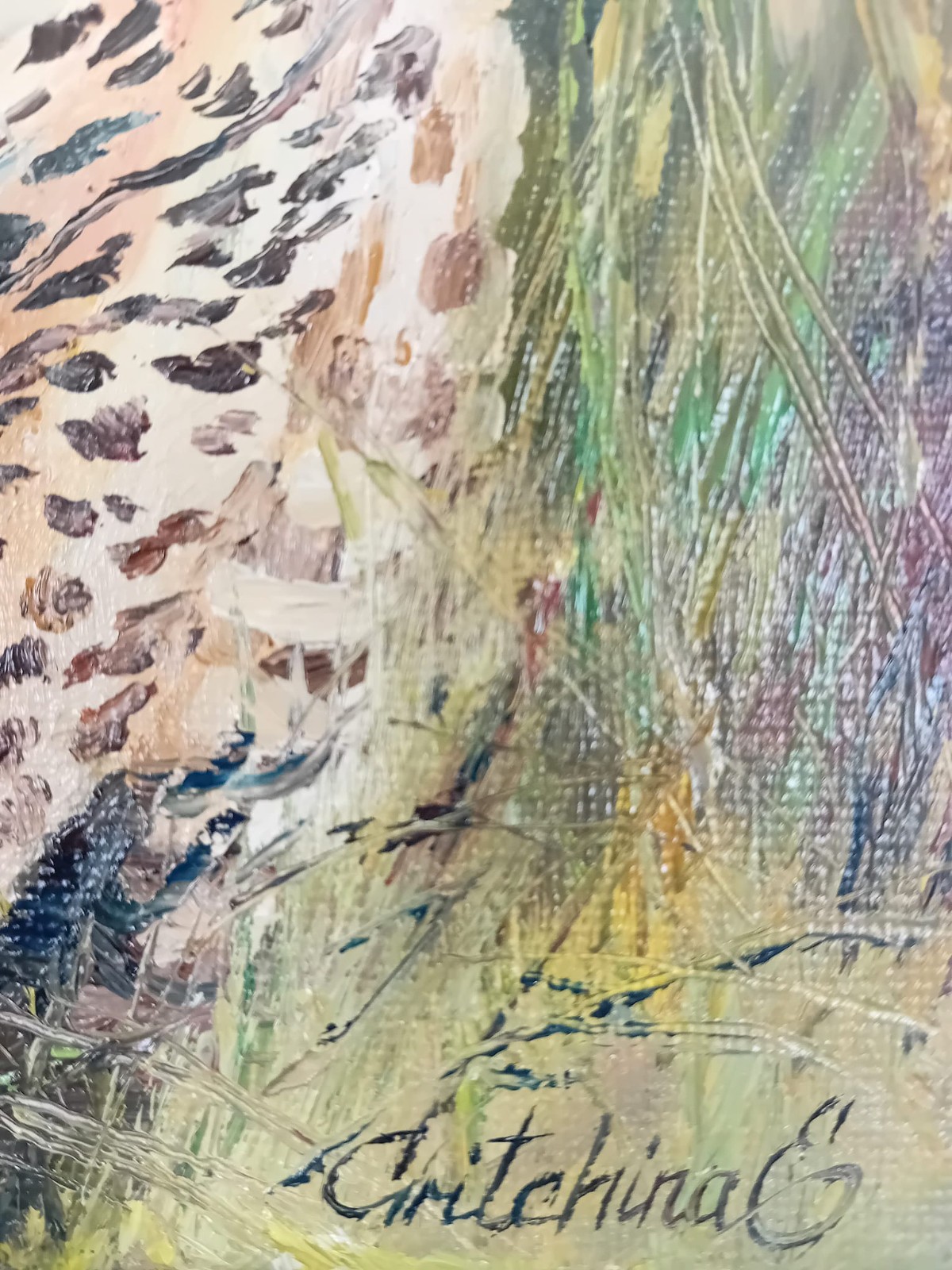 Leopard im goldenen Gras