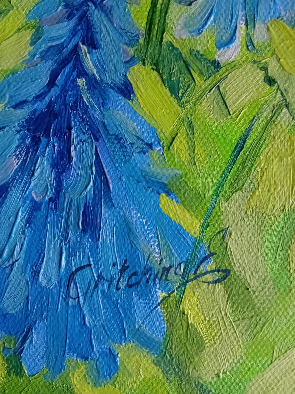 Sommergarten in voller Blüte