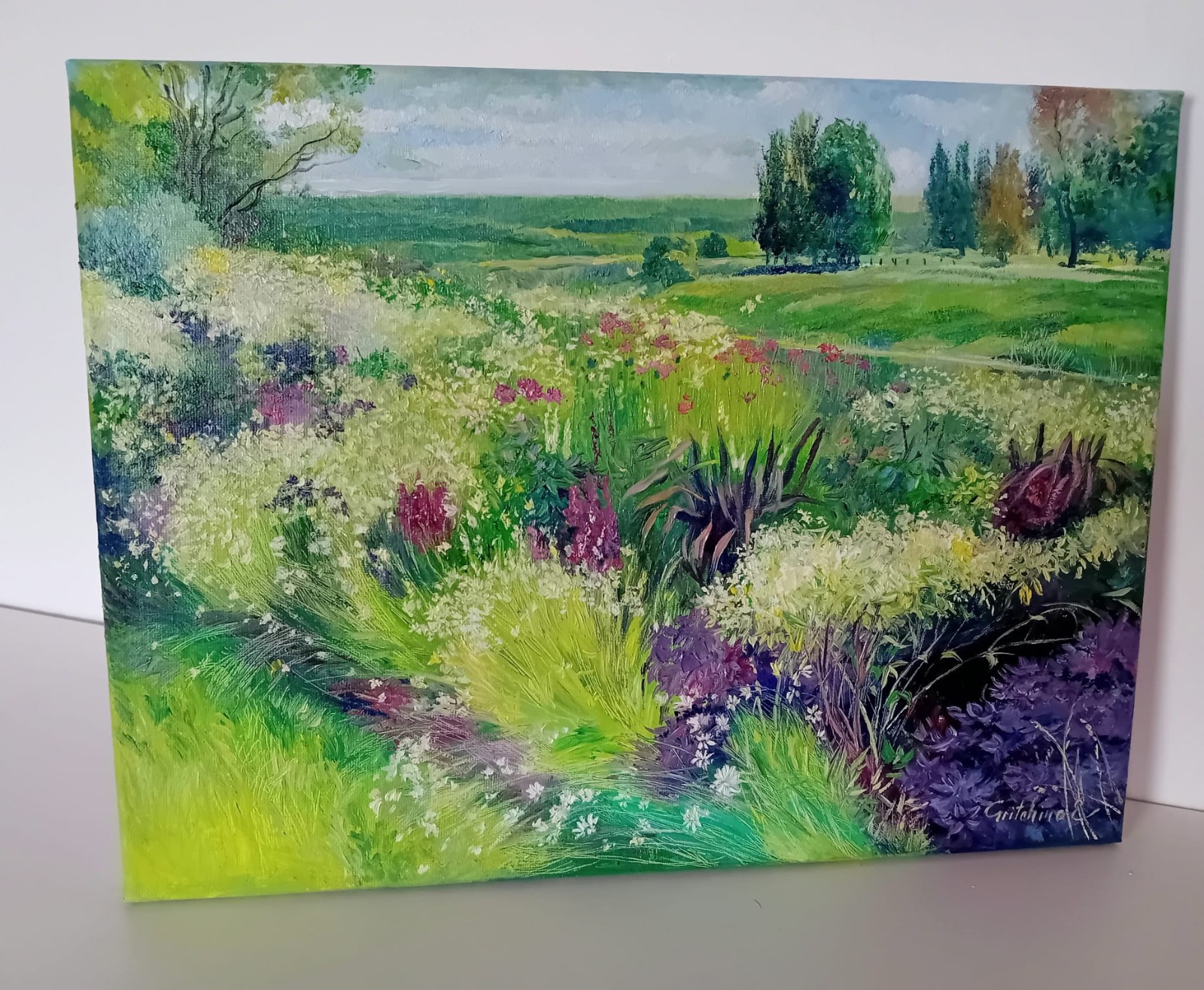 Sommerwiese im Licht der Weite