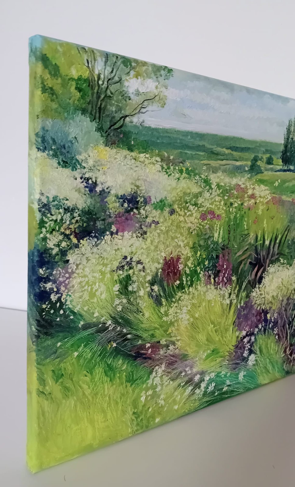 Sommerwiese im Licht der Weite