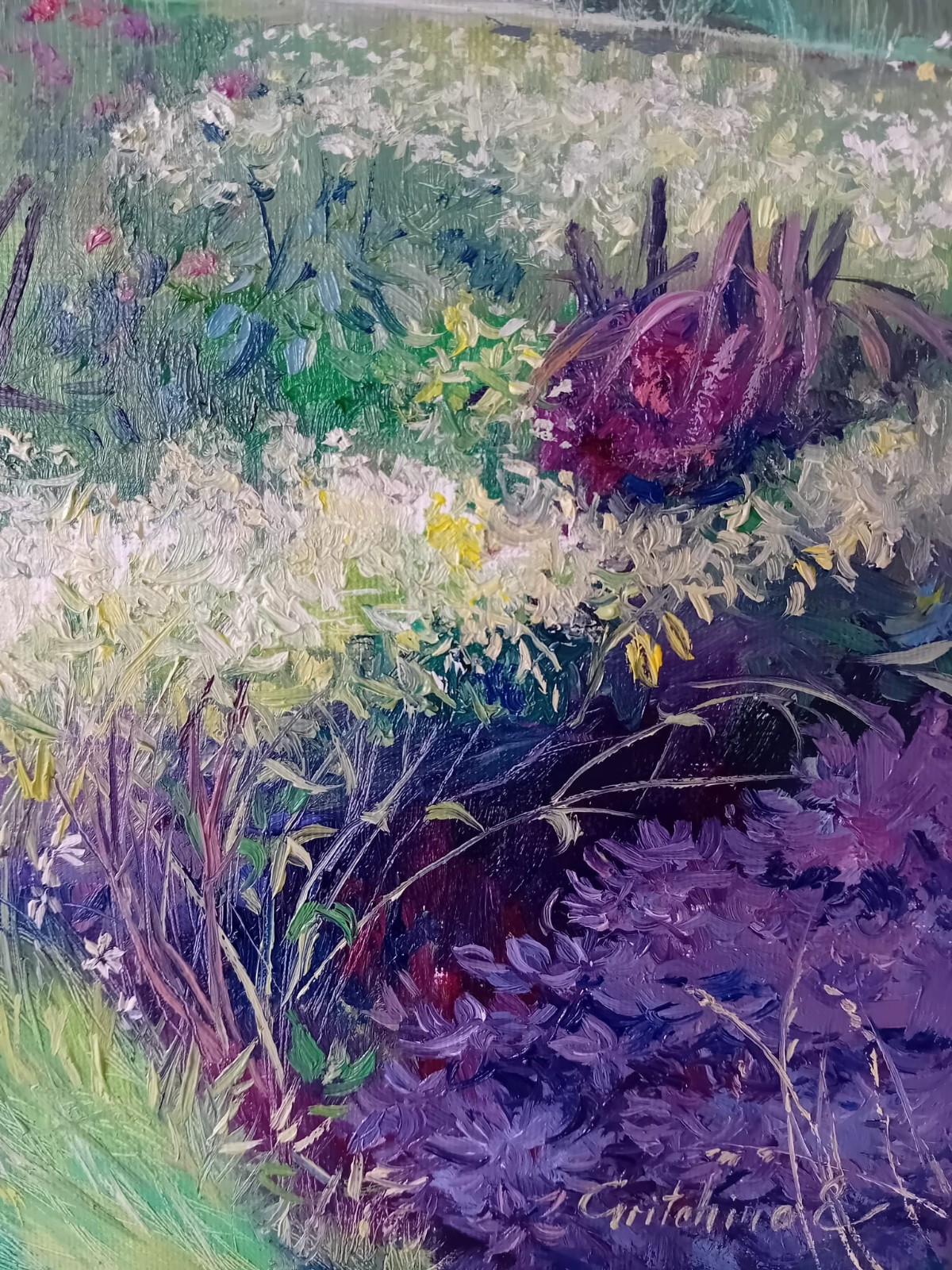 Sommerwiese im Licht der Weite