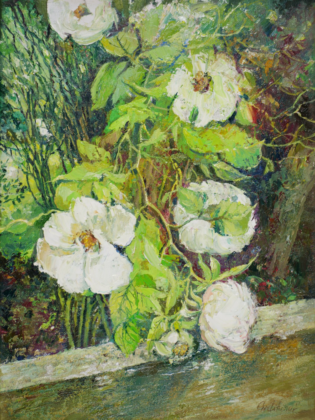 Weiße Blüten am Gartentor