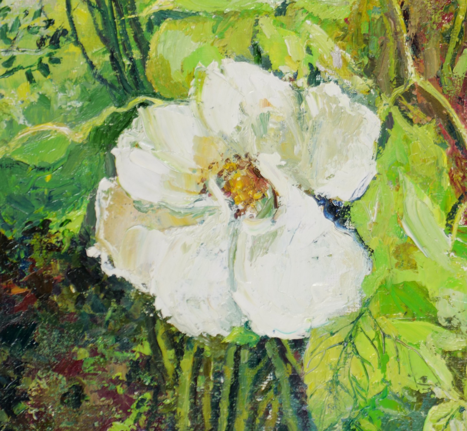 Weiße Blüten am Gartentor