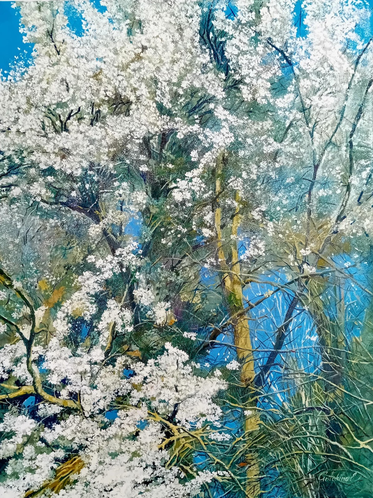 Weiße Poesie – Blütenschnee im Frühlingslicht