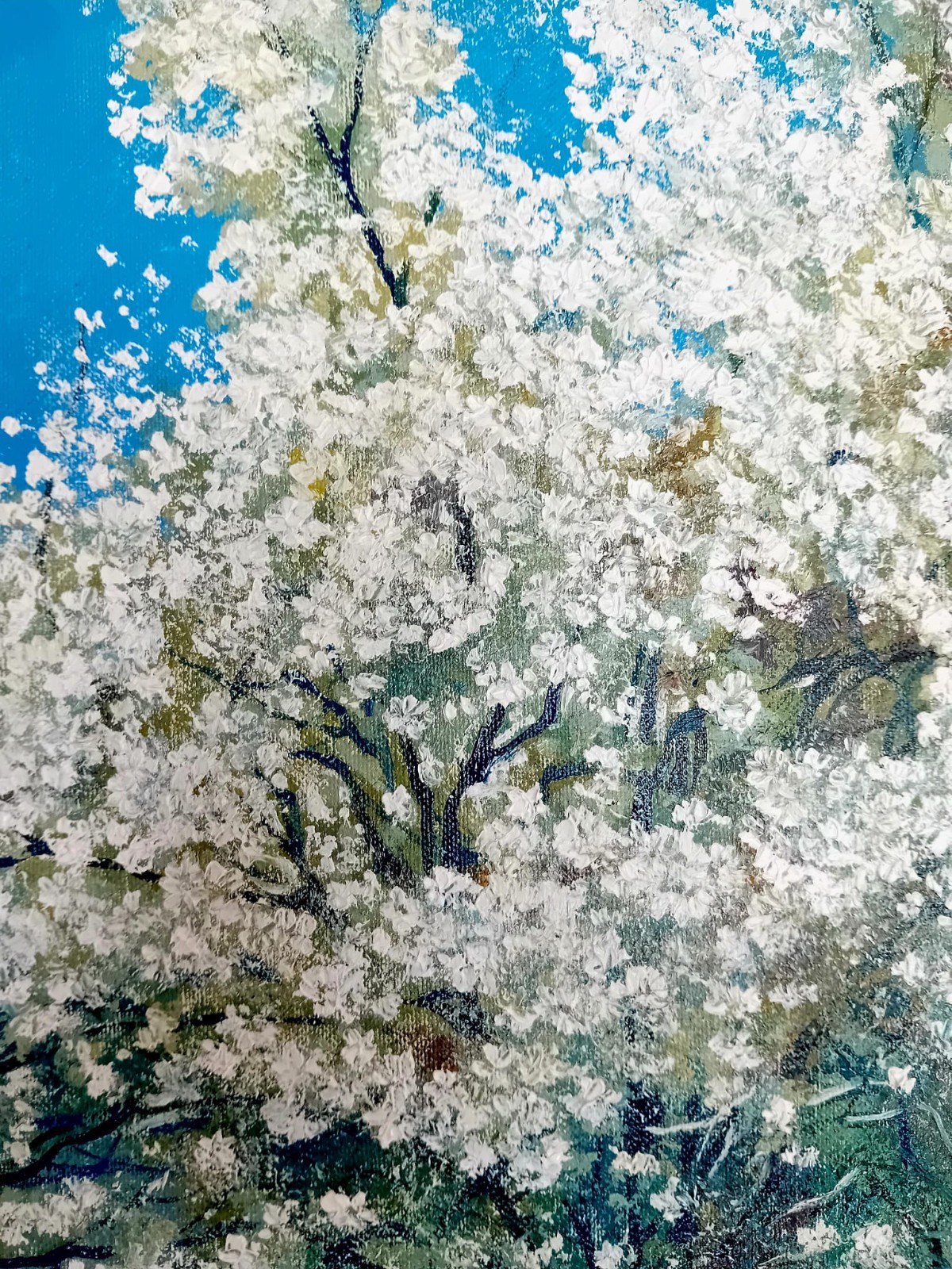 Weiße Poesie – Blütenschnee im Frühlingslicht