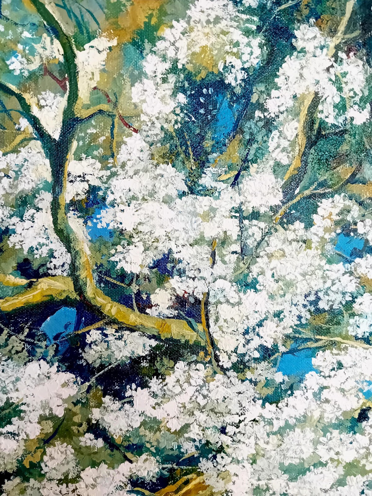 Weiße Poesie – Blütenschnee im Frühlingslicht