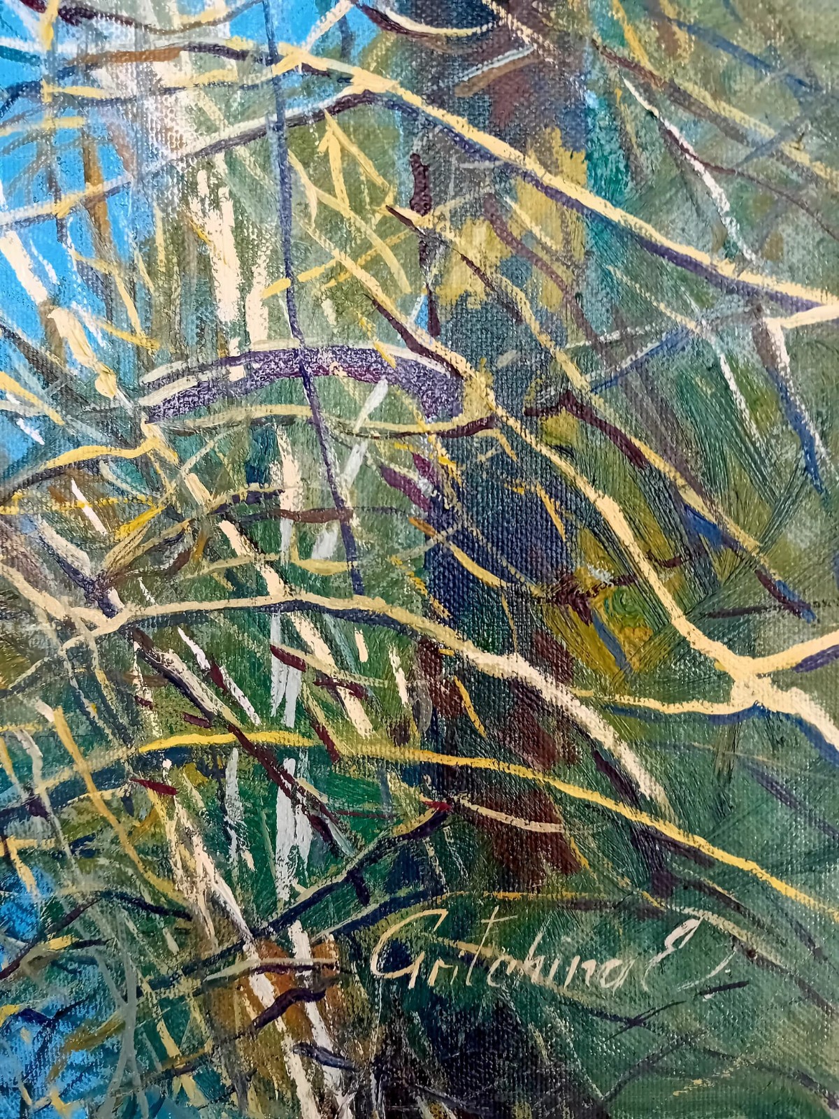 Weiße Poesie – Blütenschnee im Frühlingslicht