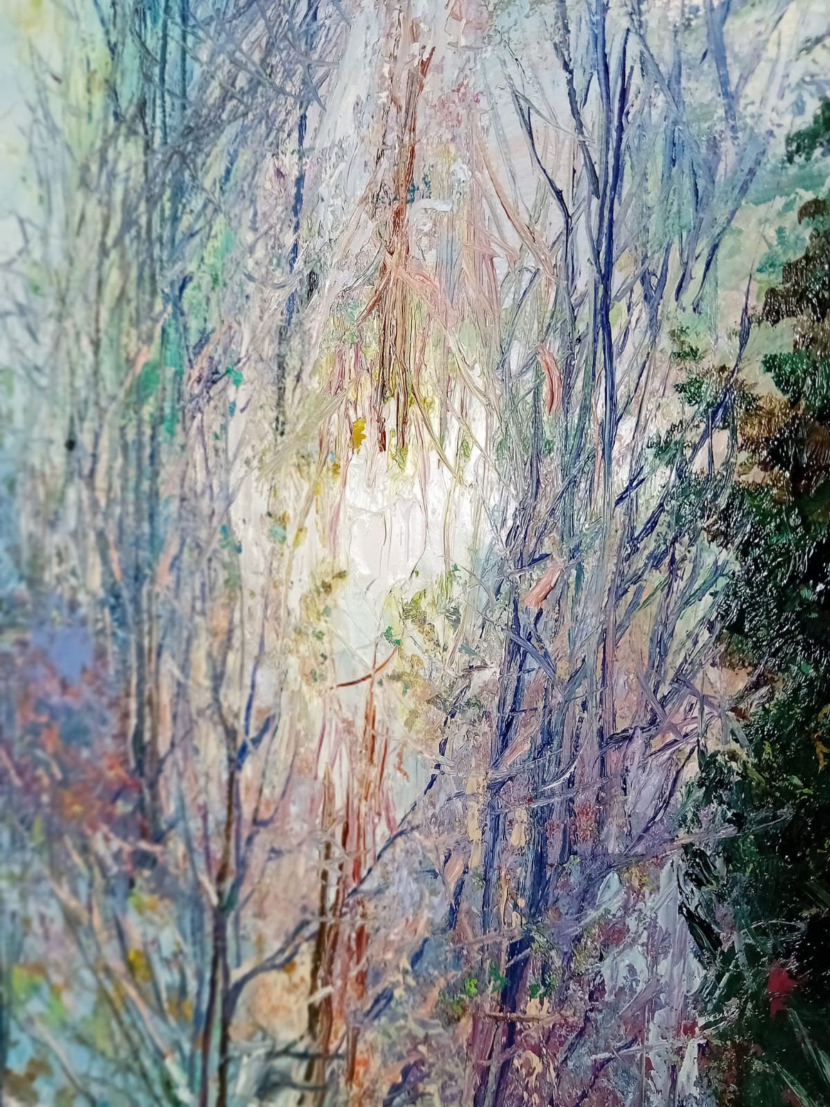 Winterlicht im stillen Tal