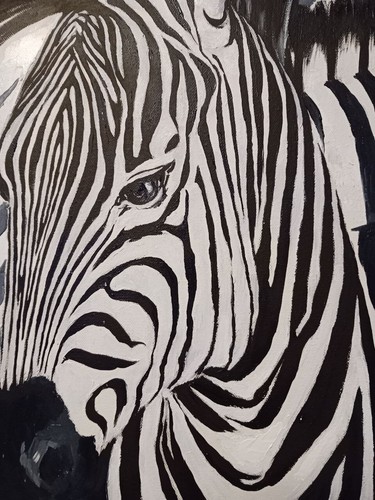 Zebras